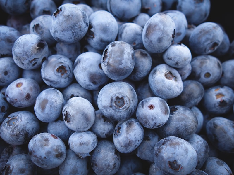 Frutti di bosco